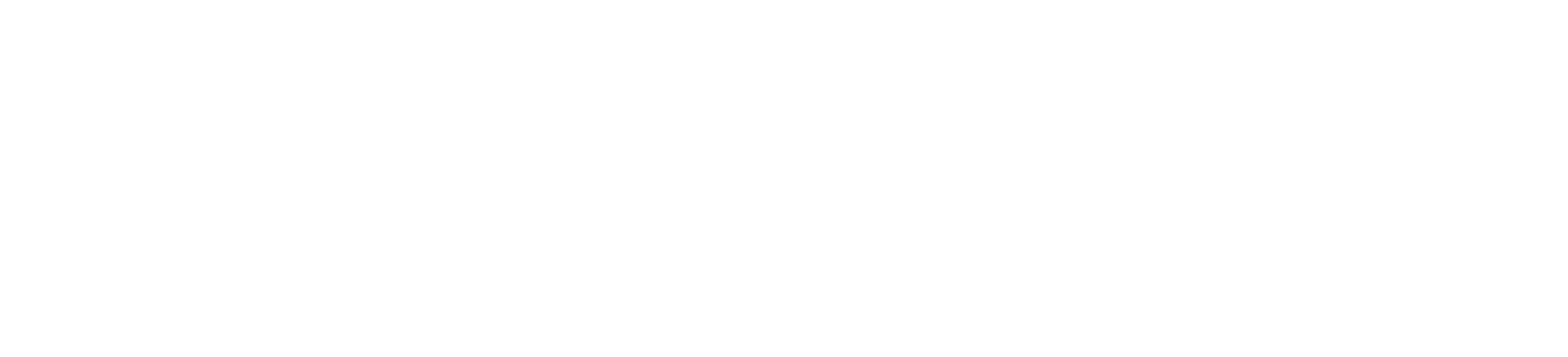 MedicaWeb
